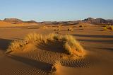 IMG_8525 Adrar tin Enouar